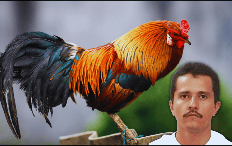 Aunado a ello, existe una canción llamada: 