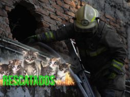 Una vez controlado el fuego, se procedió a comenzar con las labores de enfriamiento para evitar reactivaciones. ESPECIAL / Facebook Protección Civil Jalisco