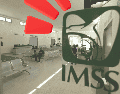 Frente a este interés, el IMSS ha advertido que supervisa prácticas de irregularidad. ESPECIAL
