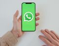 Varios modelos de celulares dejarán de ser compatibles con WhatsApp debido a nuevas actualizaciones de seguridad. PEXELS/ESPECIAL
