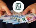 El llamado “pago doble” no corresponde a un aumento permanente en el monto de la pensión del IMSS. ESPECIAL