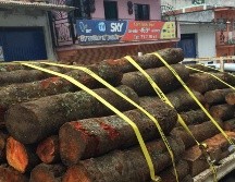 Las acciones incluyeron filtros carreteros e inspecciones a vehículos que transportaban materias primas y productos forestales. EL INFORMADOR/Archivo