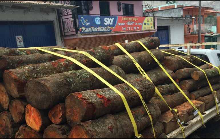 Las acciones incluyeron filtros carreteros e inspecciones a vehículos que transportaban materias primas y productos forestales. EL INFORMADOR/Archivo