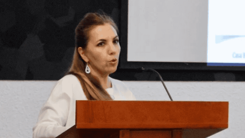 &nbsp;Cofundadora de la empresa mexicana Gresmex, la ingeniera Gabriela León desarrolló un nanobiodesinfectante llamado 