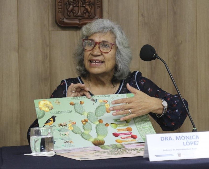 Mónica Riojas López, profesora. UDEG&nbsp;