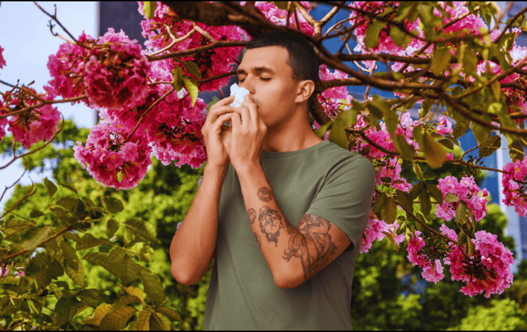 Una de las expresiones más comunes de la alergia en primavera es la rinitis alérgica o fiebre del heno, que se caracteriza por la presencia de estornudos, comezón, prurito óptico y en la garganta, nariz o boca. EL INFORMADOR / ARCHIVO / ESPECIAL / CANVA
