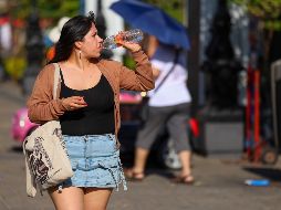 Mantener una hidratación adecuada permite que órganos, tejidos y células funcionen correctamente. EL INFORMADOR/ARCHIVO