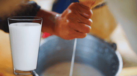 La leche “bronca” es toda aquella que no ha sido pasteurizada para matar las bacterias causantes de enfermedades, independientemente de dónde provenga: vaca, cabra, oveja... ESPECIAL / CANVA