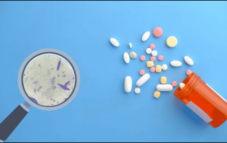 La desparasitación permite eliminar estos organismos del cuerpo, ya sea como medida preventiva o como tratamiento cuando ya existe una infección. ESPECIAL/ Unsplash