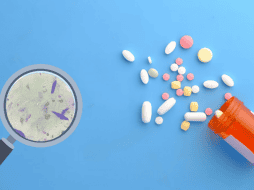 La desparasitación permite eliminar estos organismos del cuerpo, ya sea como medida preventiva o como tratamiento cuando ya existe una infección. ESPECIAL/ Unsplash