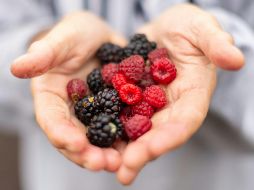 ¿Qué beneficios tiene consumir frutos rojos? UNSPLASH / Z. RICHARDSON