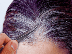 Arrancar las canas con los dedos o pinzas puede provocar pérdida anormal de cabello, también conocida como alopecia. ESPECIAL / CANVA