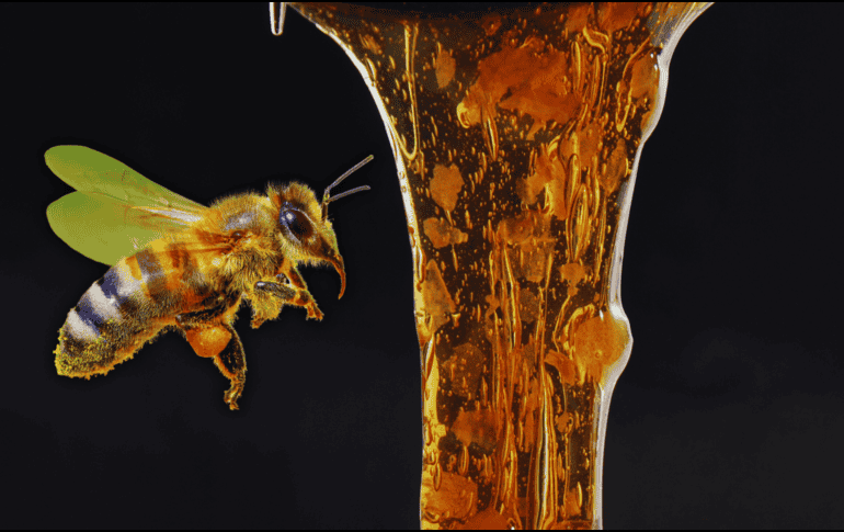 El azúcar que posee la miel ha sido elaborado por las abejas con el néctar de las flores y es esta la que tiene sus principales beneficios para una estimulación de la cicatrización. ESPECIAL / CANVA