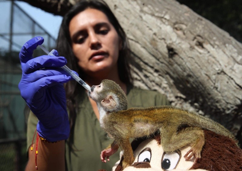 Cuando se les rescata es muy común darles un peluche para que de alguna manera sustituyan este contacto. &nbsp;EFE/ Paolo Aguilar