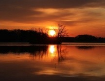 Con la llegada de la primavera, el clima comienza a tornarse más cálido, los días se alargan y los paisajes se llenan de color. UNSPLASH.