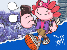 En la sección cultural se puede acceder a carteleras turísticas y agendas mensuales de eventos. FACEBOOK/@Agencia Digital de Innovación Pública