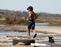 El calor despierta la más pura irritabilidad, cansancio casi permanente y un sueño susceptible. EL INFORMADOR/ARCHIVO
