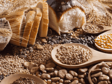 En un contexto donde la seguridad alimentaria es uno de los grandes desafíos globales, los cereales continúan siendo un recurso esencial para alimentar a la población mundial. CANVA