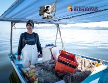 Este programa del Gobierno Federal otorga un apoyo económico anual de 7 mil 500 pesos, el cual se deposita de forma directa en la tarjeta del Banco del Bienestar de cada beneficiario. ESPECIAL / Programas para el Bienestar