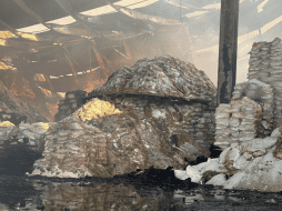 El fuego se propagó en un 60 % de la nave industrial localizada en Tlaquepaque. X / @PCJalisco