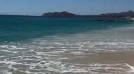 Peces del fin del mundo son encontrados en una playa de México