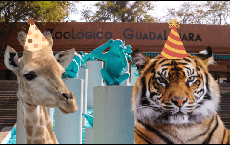 Si planeas aprovechar esta increíble promoción, te recordamos que el Zoológico Guadalajara se encuentra muy cerca de la Barranca de Huentitán. ESPECIAL/ EL INFORMADOR/ ARCHIVO/ Unsplash