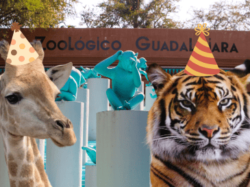 Si planeas aprovechar esta increíble promoción, te recordamos que el Zoológico Guadalajara se encuentra muy cerca de la Barranca de Huentitán. ESPECIAL/ EL INFORMADOR/ ARCHIVO/ Unsplash
