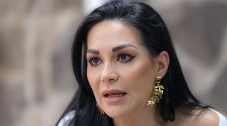 Gómez Pozos sostuvo que uno de los principales puntos de la reforma es la reducción de las prerrogativas que reciben los partidos políticos. EL INFORMADOR/ A. Navarro