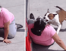 En las imágenes se observa cómo el pitbull muerde la prenda de la mujer. ESPECIAL / X / @mavica81