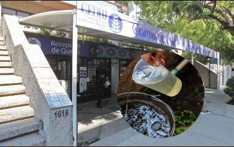 Si se detectan violaciones a derechos de personas vulnerables, se iniciará la queja correspondiente. EL INFORMADOR/ARCHIVO