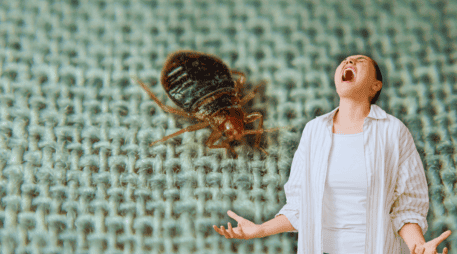 Las chinches de cama también pueden proliferar durante la temporada de calor, especialmente en ambientes con mucho movimiento de personas, como el transporte público, hoteles, cines, escuelas, etc. ESPECIAL / CANVA