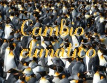 Que haya una especie como el pingüino rey que se adapte tan bien a los cambios estacionales y a las variaciones en los tiempos 