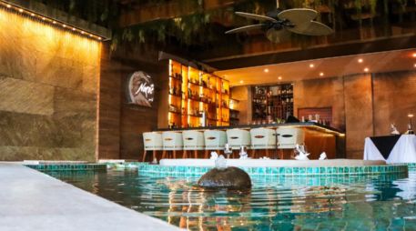 Al acudir a Noroc disfruta de comida deliciosa con una vista espectacular a Playa Olas Altas. CORTESÍA