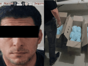 También fueron detenidas seis personas más y se localizaron dos inmuebles utilizados para el almacenamiento de narcóticos. X / @OHarfuch