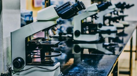 ¿Cuáles son los riesgos de los químicos de la vida diaria hacia nuestras hormonas? UNSPLASH / O. CHEA