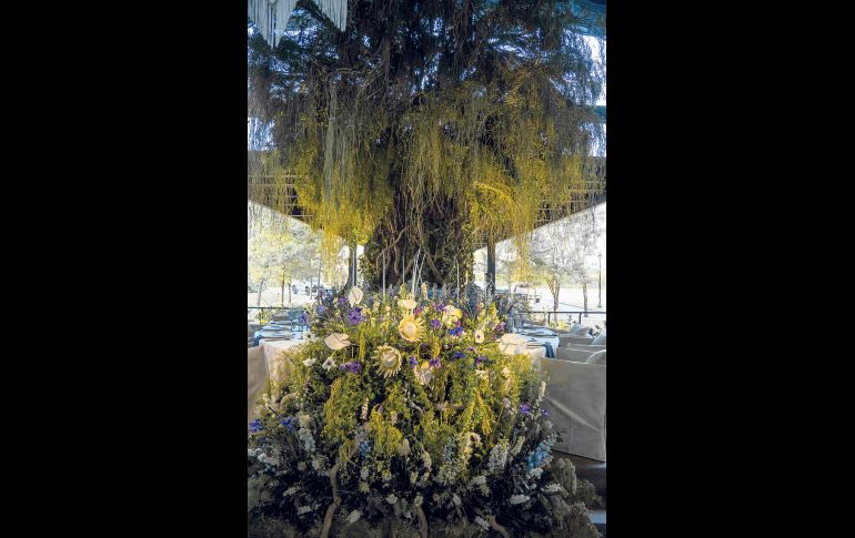 GENTE BIEN JALISCO / M. Rached