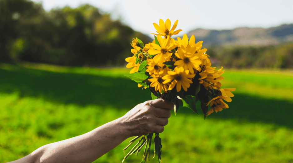 Aunque actualmente la tradición circula ampliamente en plataformas digitales como TikTok e Instagram, su origen moderno se asocia con la telenovela juvenil argentina Floricienta, estrenada en 2004. CANVA