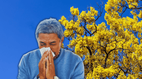 Los síntomas característicos de alergia (tos, falta de aire, estornudos y opresión en el pecho) suelen confundirse con infecciones virales o bacterianas. EL INFORMADOR / A. Navarro / ESPECIAL / CANVA