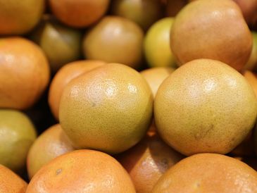 Pese a una larga lista de beneficios, las frutas y verduras también pueden albergar gérmenes que producen enfermedades, como infecciones y trastornos digestivos. NTX / ARCHIVO