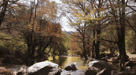 Jalisco esconde muchas joyas y esta es una de ellas; las mejores temporadas para visitarlo son de noviembre a mayo, y suele haber más afluencia de visitantes durante el periodo vacacional. Facebook/Cultura Cuquío Jalisco