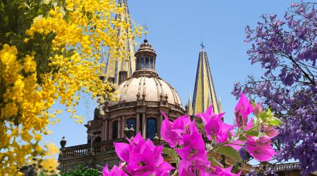 A esta estación se le conoce como la de la vivacidad y se asocia con la alegría, el desarrollo y el renacer de la vida. ESPECIAL / CANVA