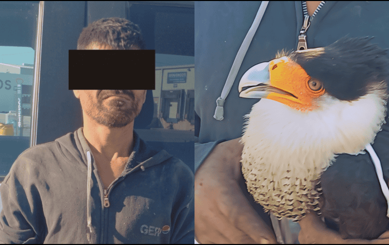 Los hechos ocurrieron durante un recorrido de vigilancia de los policías municipales sobre el Nuevo Periférico al cruce con la calle Juan Pablo II, en la colonia El Refugio. ESPECIAL