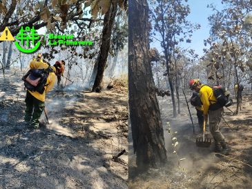 Semadet recomienda a la población mantenerse informada a través de los canales oficiales y se recuerda que está prohibido el uso del fuego en el Bosque La Primavera. ESPECIAL