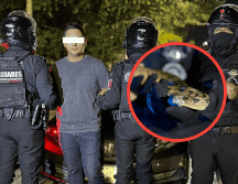 Fue mientras patrullaban cuando los uniformados estatales observaron en el tablero de un vehículo lo que aparentaba ser un reptilESPECIAL / SECRETARÍA DE SEGURIDAD