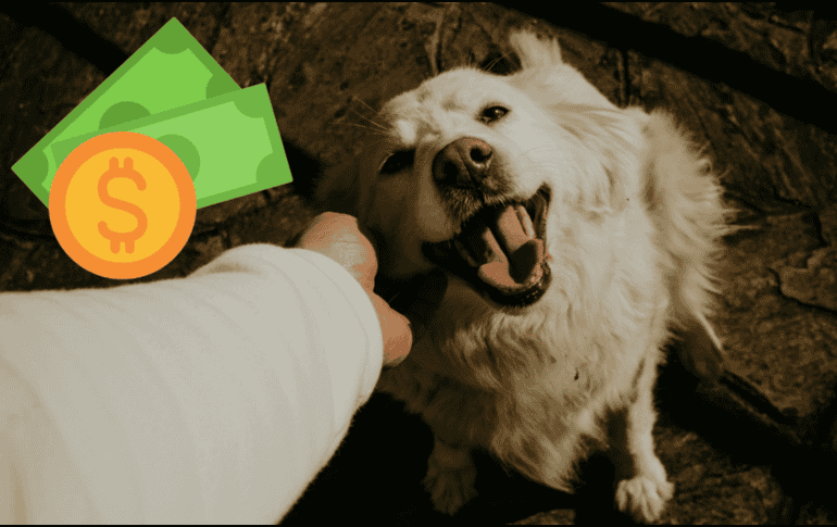 Con el paso de los años, los dueños redujeron las sobras como sustento para las mascotas. UNSPLASH