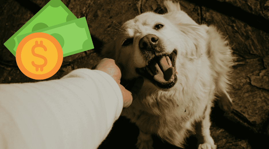 Con el paso de los años, los dueños redujeron las sobras como sustento para las mascotas. UNSPLASH