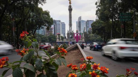 La mañana de este miércoles, todas las estaciones de monitoreo ambiental de la Ciudad de México mostraba índices de contaminación bajos. SUN/L. Camacho