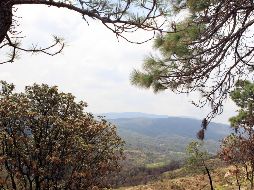 Este espacio fue decretado como Área Natural Protegida de carácter federal el 6 de marzo de 1980. EL INFORMADOR / ARCHIVO