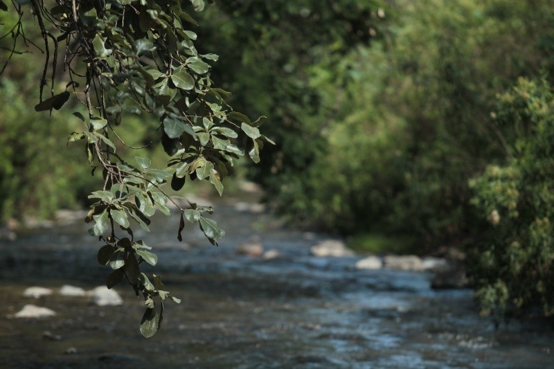Una actividad frecuente entre los visitantes es la de bañarse en las aguas del río caliente mientras se acampa a la orilla del agua. EL INFORMADOR / ARCHIVO&nbsp;