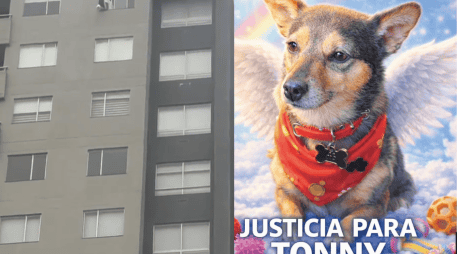 Las autoridades señalaron que el caso ya está en manos de la Fiscalía General de la Nación. ESPECIAL